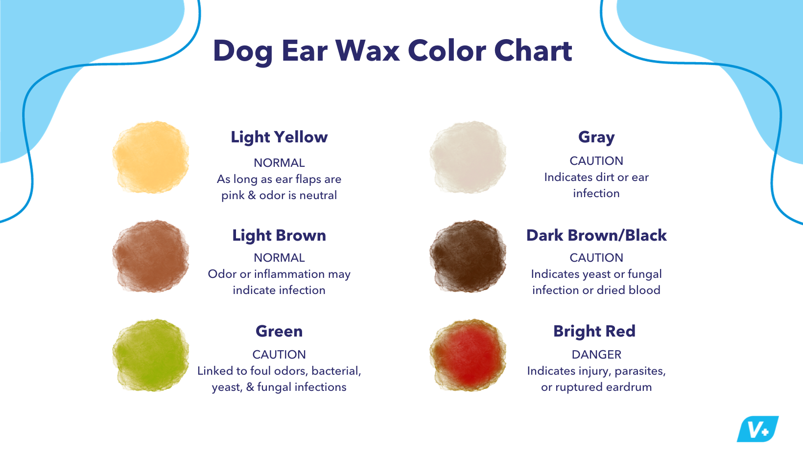 Dog Earwax Color Chart What Each Color Means [Vet Guide]